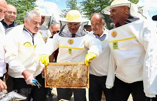 Konya'da meşhur bal hasadı Vali Akın'dan