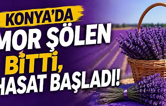 Konya'da mor şölen bitti, hasat başladı!