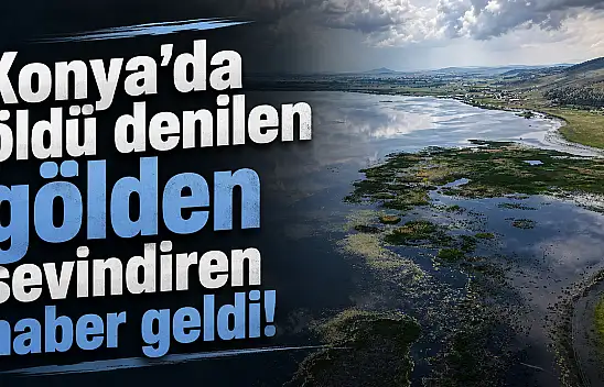 Konya'da öldü denilen gölden sevindiren haber geldi!