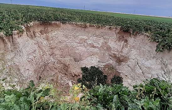 Konya'da pancar tarlası çöktü! 15 metre çapında obruk oluştu