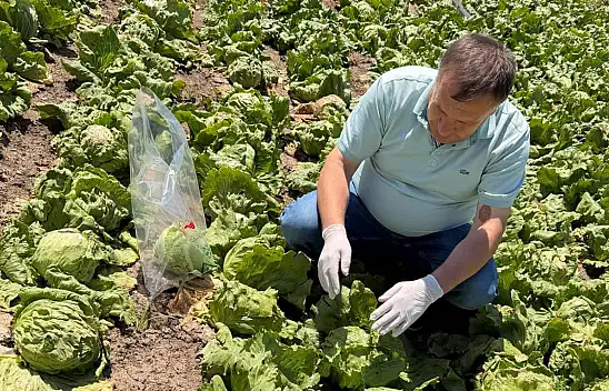 Konya'da pestisit denetimleri yapılıyor