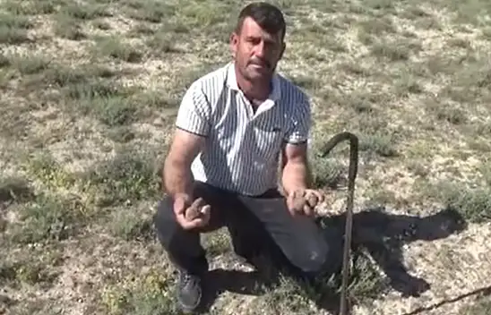 Konya'da toprağın altından servet çıkarıyor