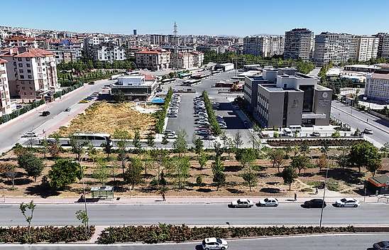 Konya'da tramvay çalışmasında dikkat çeken karar! Ağaçlar kurtarıldı