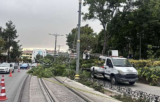 Konya'da tramvay yoluna ağaç devrildi 1 çocuk yaralandı