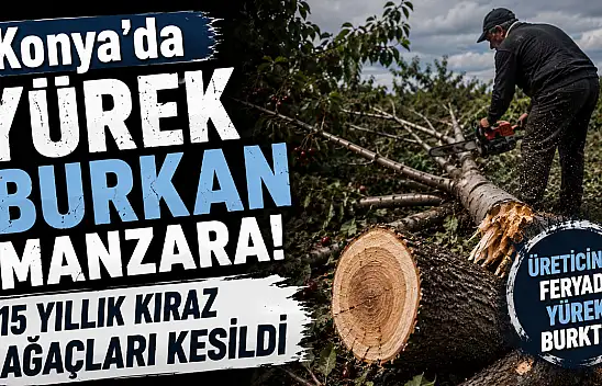 Konya'da üreticinin isyanı yürekleri burktu