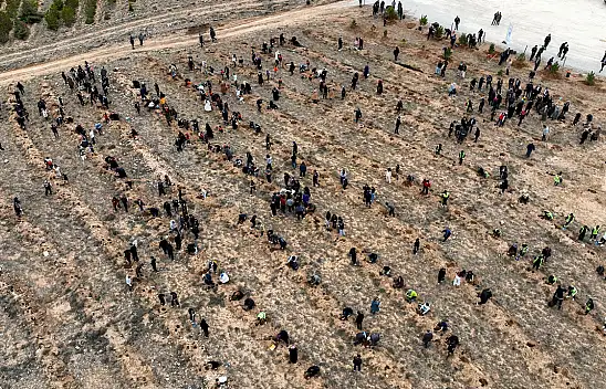 Konya'da yeşil seferberlik