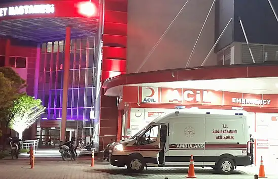 Konya'da yola fırlayan köpek kazaya neden oldu