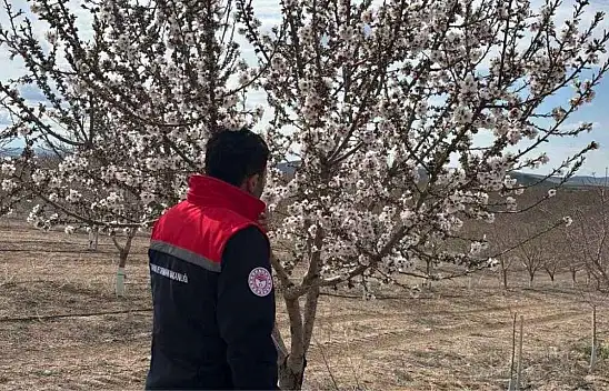 Konya'da zirai dona karşı çalışmalar sürüyor