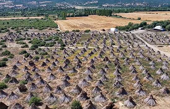 Konya'daki gölden Avrupa'ya uzanan emek!