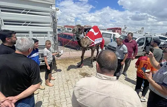 Konya'daki pazarda gören dönüp bir daha baktı