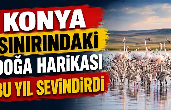 Konya sınırındaki doğa harikası bu yıl sevindirdi