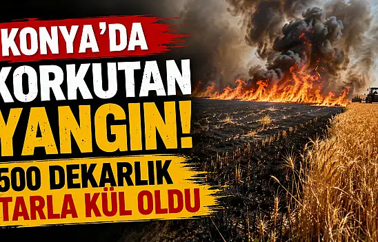 Konya'daki tarla yangını paniğe neden oldu