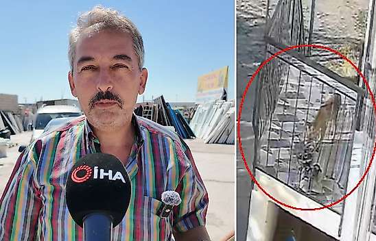 Konya'daki terlik hırsızlığının arkasından bakın ne çıktı!