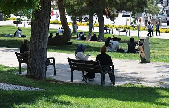Konya'daki uzman uyardı: Yazla birlikte ölümcül risk kapıda!