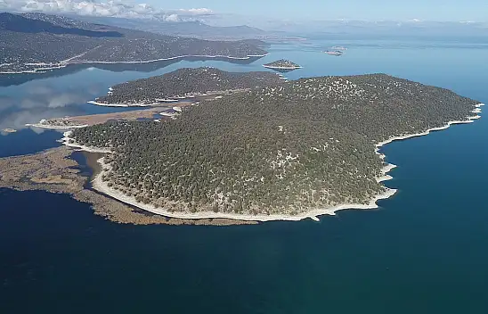 Konya'daki uzmandan korkutan yapay zeka açıklaması