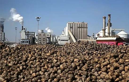Konya'dan şeker pancarı müjdesi: Türkiye dışarıdan ürün almayacak