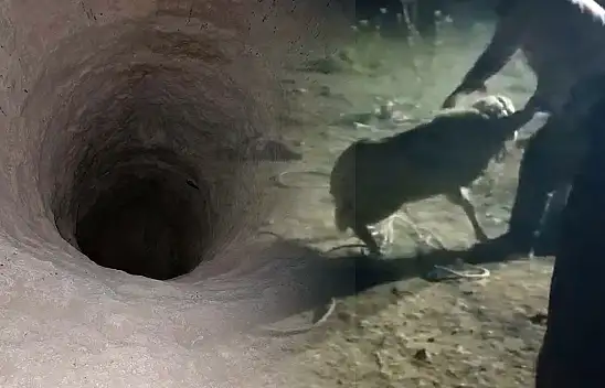Konya mucize kurtarış! İki gün çukurda kaldı