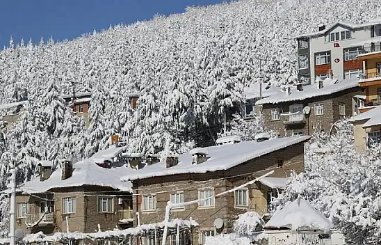 Konya'nın bu ilçesinde kar etkili oldu