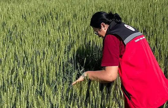 Konya'nın İlçelerinde üretim alanlarına sıkı takip