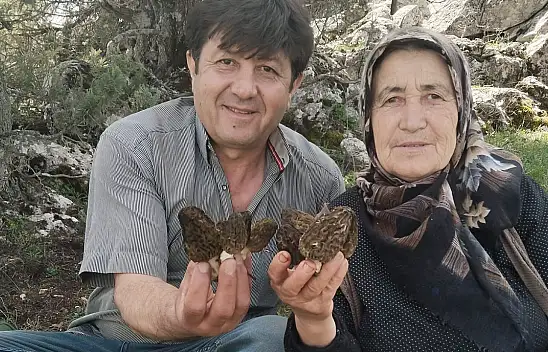 Konya'nın ilçesinde kuzugöbeği sezonu başladı