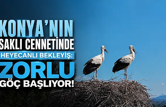 Konya'nın saklı cennetinde heyecanlı bekleyiş: Zorlu göç başlıyor!