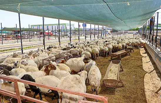 Konya'nın Selçuklu ilçesinde bayram seferberliği