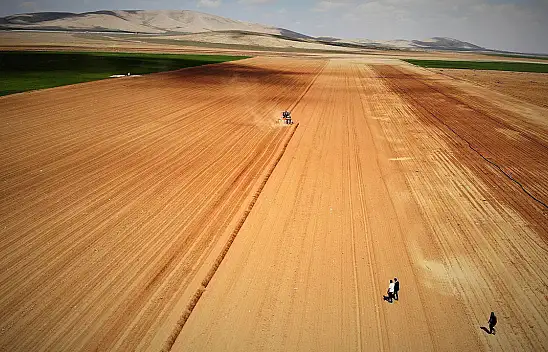 Konya Ovası'nda yağış bereketi