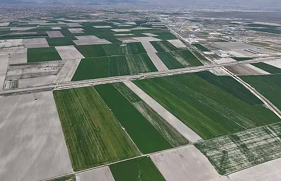 Konya Ovası'ndan müjde geldi: Bereket patlaması yaşanacak