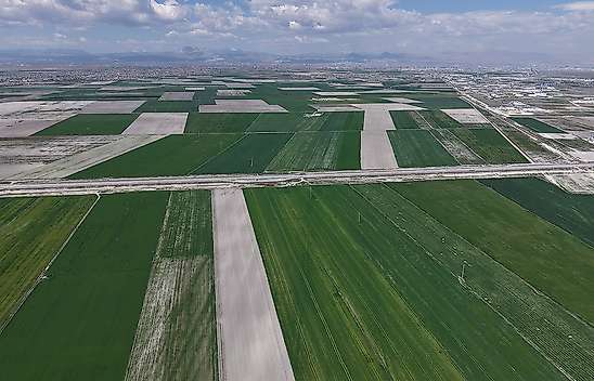 Konyalı çiftçiye büyük müjde: Cumhuriyet tarihinin en yükseği bekleniyor