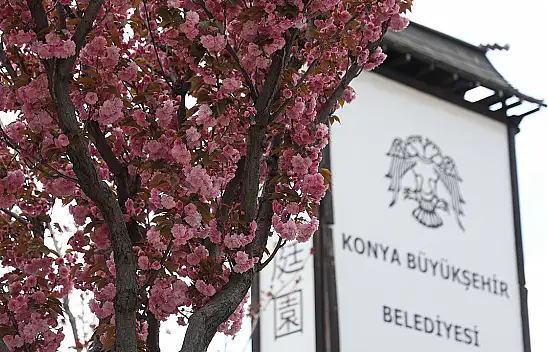 Konyalılar sakuraları görmek için Japonya'ya gitmenize gerek yok!
