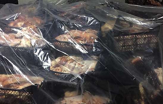 Kuytulcular, fakirlere dağıtılacak etleri bakın ne yapmış!