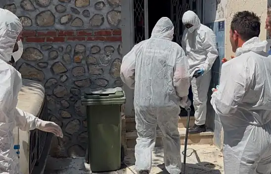 Pireler mahalleyi istila etti! Belediye hayvanları bakıma aldı