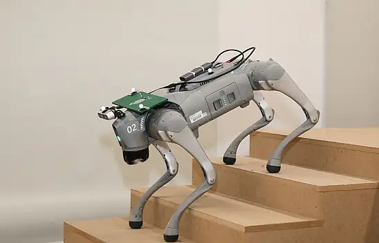 Robot köpekler sınıfa giriyor