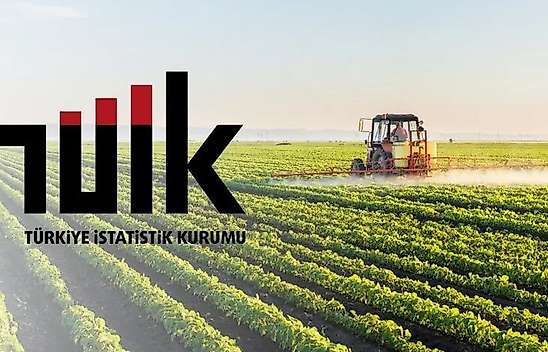 Tarım ürünlerinde dikkat çeken değişim! TÜİK rakamları açıkladı