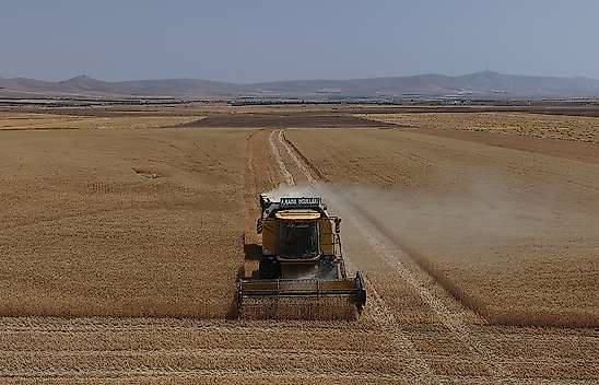 Türkiye'nin tahıl ambarı Konya'da buğday ve arpa rekoltesi yüz güldürdü