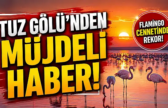 Tuz Gölü'nden müjdeli haber!