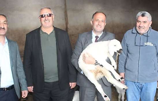 Yozgat'ta küçükbaş üreticisine KOP'tan yüzde 50 hibeli destek