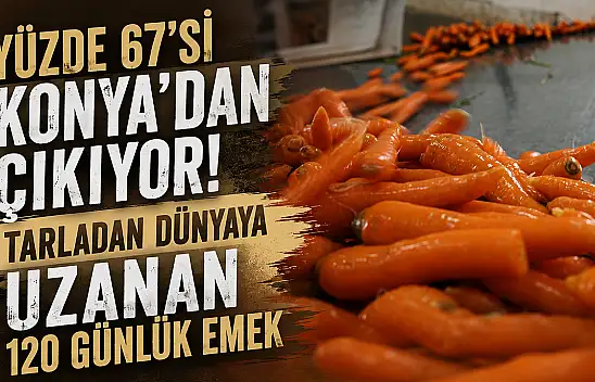 Yüzde 67'si Konya'dan çıkıyor! Tarladan dünyaya uzanan 120 günlük emek