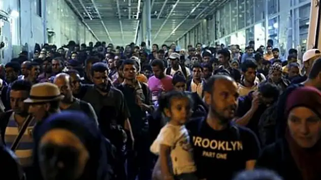 '2050'ye kadar yarım milyon insan ölecek'