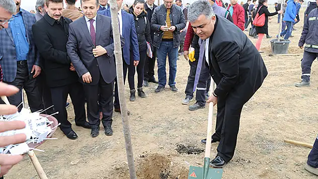 '248 Çınarımızı unutmayacağız'