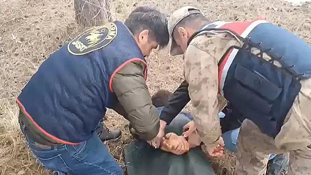  27 yıl kesinleşmiş hapis cezası bulunan firari hükümlü ormanda yakalandı