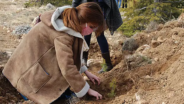 '8 Mart Dünya Kadınlar Günü' anısına Konya'da fidan dikildi