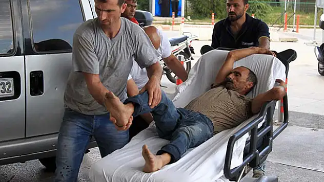'Acemi kasaplar' hastanelik oldu