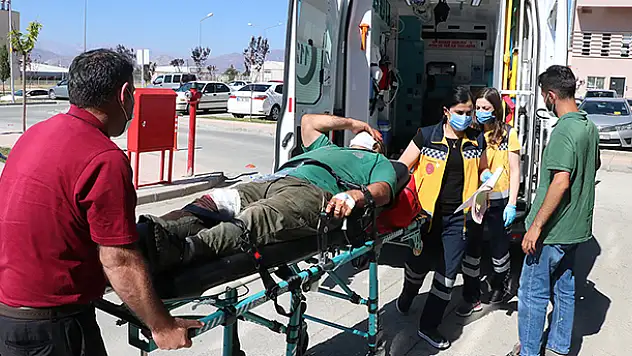 'Acemi kasaplar' kurban kesmeye çalışırken yaralandı
