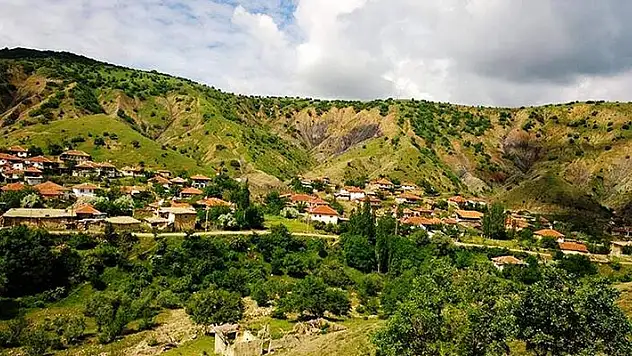 'Ağaçlara zarar verme' tartışması ölümle bitti!
