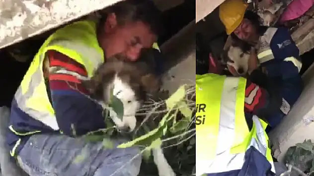 'Aleks' adlı köpek depremden 23 gün sonra Hatay'da enkazdan çıkarıldı
