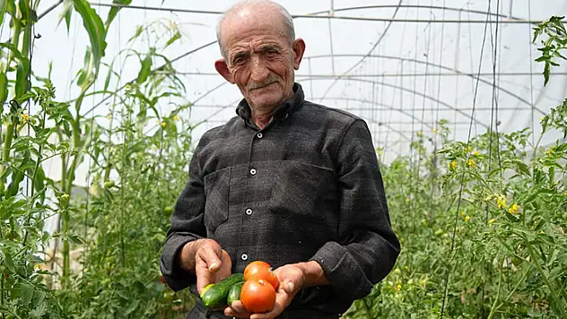 'Ata tohumu memleket meselesi' diyen 74 yaşındaki çiftçi ömrünü organik tarıma adadı
