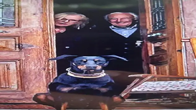  Berzeg ailesinin avukatı: Çok şaşkınız