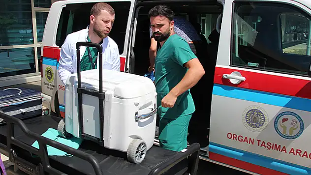  Beyin ölümü gerçekleşen hastanın organları, 3 kişiye umut oldu