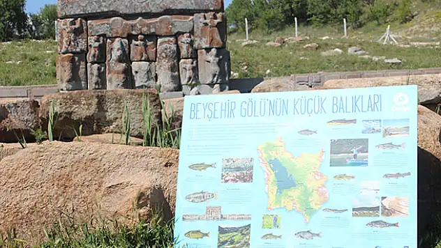 'Beyşehir Gölü'nün Nadir Balıkları' toplantısı